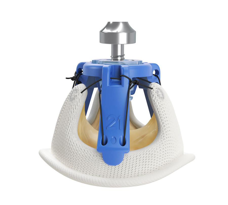 Blue CGI heart valve implant with cloth exterior